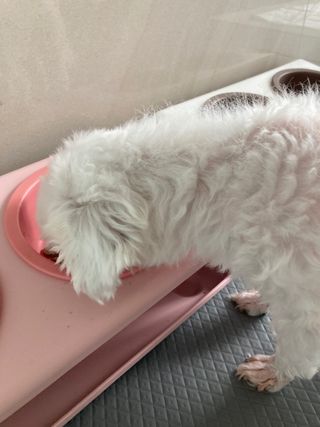 인절미인❣️님이 올린 리뷰 사진 4
