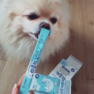 My Pet Care 장건강에 개좋아 — 4.5점을 준 리뷰어가 2021년 1월 올린 사용 사진