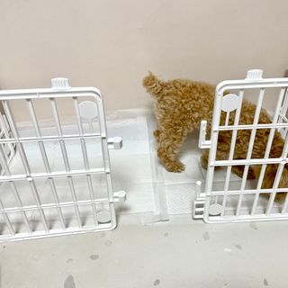 이수은님이 올린 리뷰 사진 3