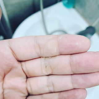 [바디홈즈] 골드 마유 샴푸 — 4점을 준 리뷰어가 2021년 1월 올린 사용 사진