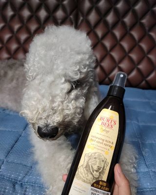 lemoniee님이 올린 리뷰 사진 1