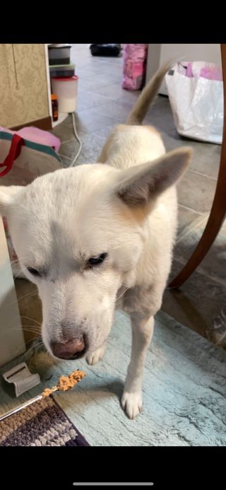 Jenny님이 올린 리뷰 사진 2
