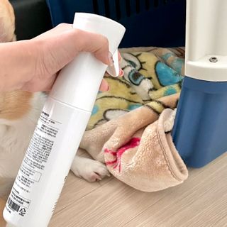 댕이누나님이 올린 리뷰 사진 3