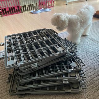 곽현정님이 올린 리뷰 사진 4