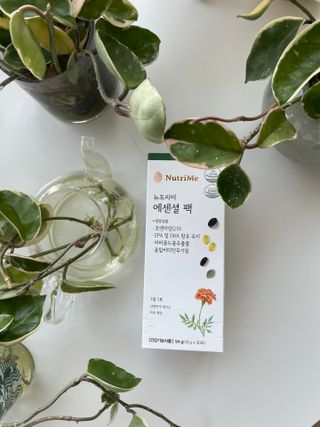 디자인님이 올린 리뷰 사진 2