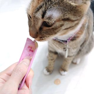 페페로니 잘 먹는 캣츄 - 무항생제 닭고기 24개입 — 5점을 준 리뷰어가 2021년 7월 올린 사용 사진
