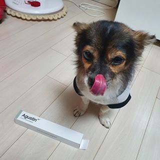 꽃수니어니님이 올린 리뷰 사진 2