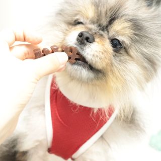 오코리타님이 올린 리뷰 사진 3