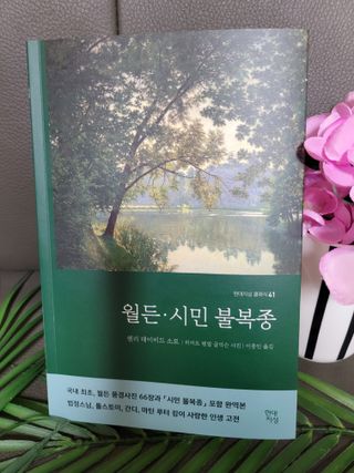 미인도시님이 올린 리뷰 사진 3