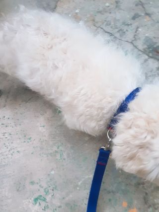 미진냥님이 올린 리뷰 사진 2