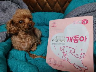 My Pet Care 천연단백질 관절건강에 개좋아 — 5점을 준 리뷰어가 2021년 3월 올린 사용 사진