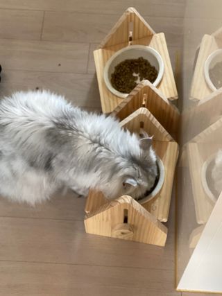 햄님이 올린 리뷰 사진 2