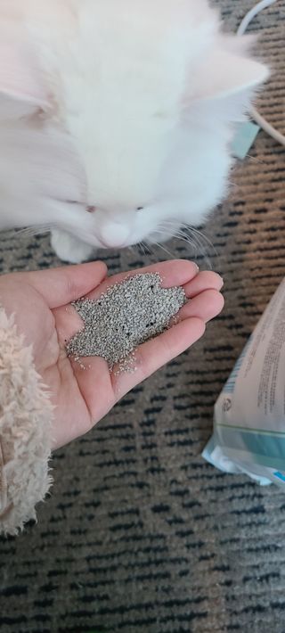 논지님이 올린 리뷰 사진 3