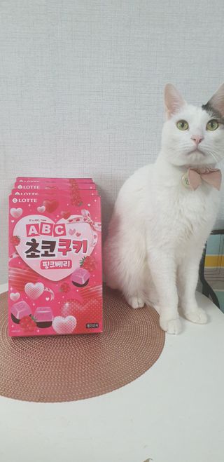 SeulonPark님이 올린 리뷰 사진 1
