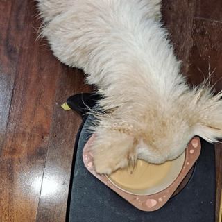 1208님이 올린 리뷰 사진 1