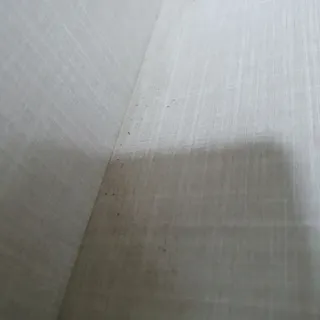 딸랑구둘🥰님이 올린 리뷰 사진 4