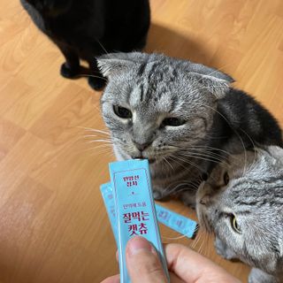 뿌엥꾸엥님이 올린 리뷰 사진 2