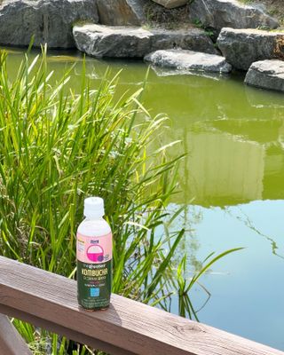 더그레잇티 콤부차 [매일유업] 더그레잇티 44kcal 콤부차 300ml *12개입 (오리지널 6개+베리리치 6개) — 5점을 준 리뷰어가 2023년 8월 올린 사용 사진