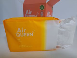 에어퀸 뉴브레스 유기농 생리대 4종 (팬티라이너 20P + 중형 10P + 대형 10P + 오버나이트 8P)_체험단 — 5점을 준 리뷰어가 2024년 7월 올린 사용 사진