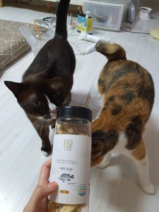 쮸동비님이 올린 리뷰 사진 3