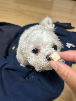 세지니힛님이 올린 리뷰 사진 3