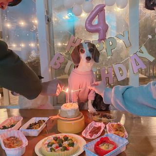 콩비지맘님이 올린 리뷰 사진 2