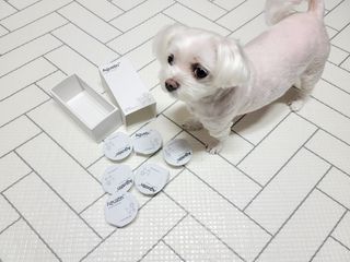 두부님이 올린 리뷰 사진 3
