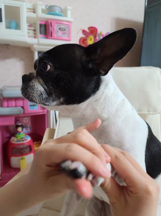 버츠비 케어플러스 릴리빙포앤노즈로션 — 5점을 준 리뷰어가 2021년 4월 올린 사용 사진