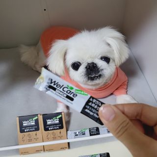 mini unni님이 올린 리뷰 사진 4