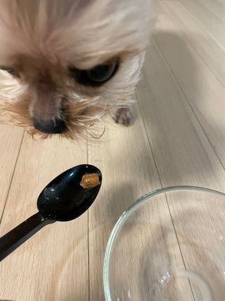효니님이 올린 리뷰 사진 3
