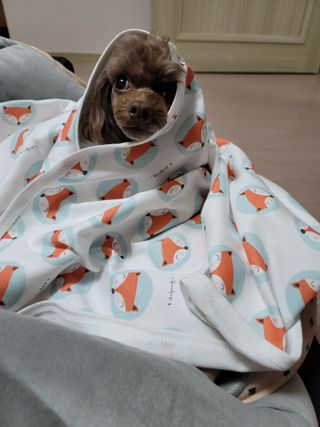 나초단맘님이 올린 리뷰 사진 2