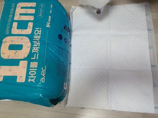 아베크 펫 와이드 프리미엄 중형 애견 강아지 배변 패드 54매 1팩 45g — 5점을 준 리뷰어가 2021년 7월 올린 사용 사진