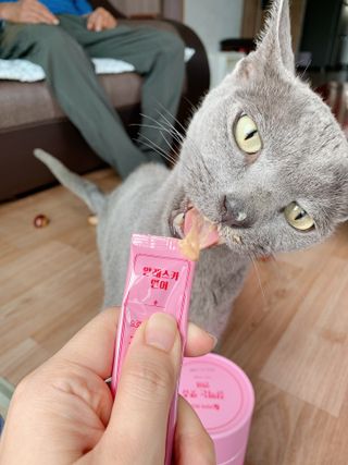 페페로니 잘 먹는 캣츄 - 알래스카 연어 24개입 — 5점을 준 리뷰어가 2021년 9월 올린 사용 사진