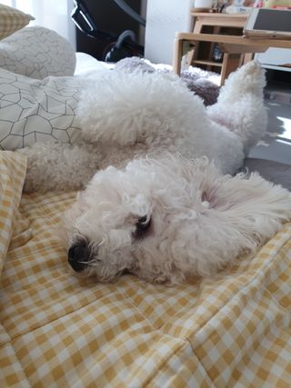 heeee님이 올린 리뷰 사진 3