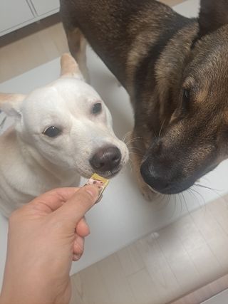 태가맘님이 올린 리뷰 사진 4