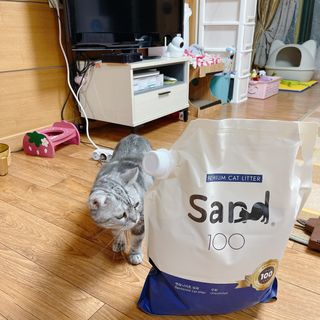 [샌드백] 프리미엄 벤토나이트 고양이모래 — 4점을 준 리뷰어가 2020년 12월 올린 사용 사진