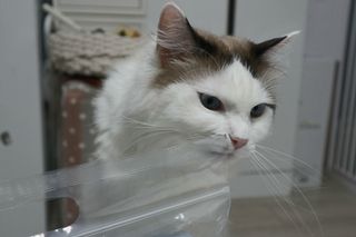 랑돌희네님이 올린 리뷰 사진 4