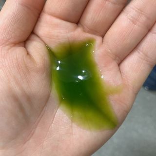 영지버섯님이 올린 리뷰 사진 1