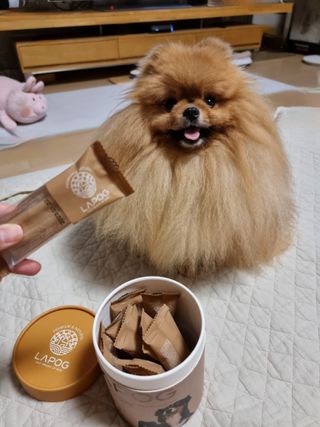 아롱이님이 올린 리뷰 사진 1