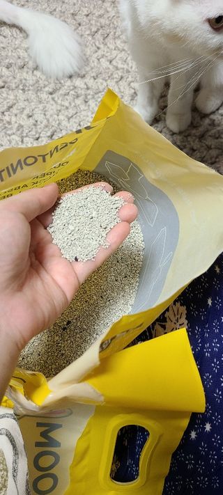 겟플렉스 켓플렉스 캣츠룸BS-1 고양이모래 4kg — 4점을 준 리뷰어가 2021년 1월 올린 사용 사진