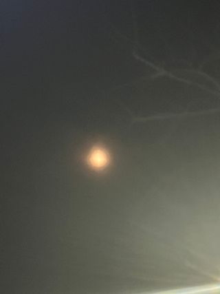 나우[포춘에이드] 내 곁의 포춘 메이커 포춘에이드 운세 🍀 매일 무료 운세 업데이트 + 할인쿠폰 제공 — 2.5점을 준 리뷰어가 2024년 7월 올린 사용 사진