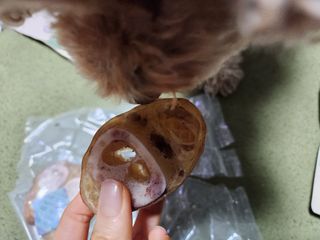 란아님이 올린 리뷰 사진 1