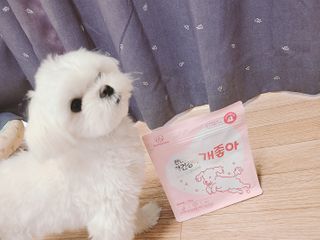 My Pet Care 천연단백질 관절건강에 개좋아 — 5점을 준 리뷰어가 2021년 1월 올린 사용 사진