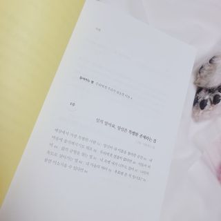 삼숑이맘님이 올린 리뷰 사진 2