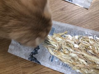 [오늘바스켓] 용대리 손질하늘태 130g — 리뷰어가 2021년 6월 올린 사용 사진