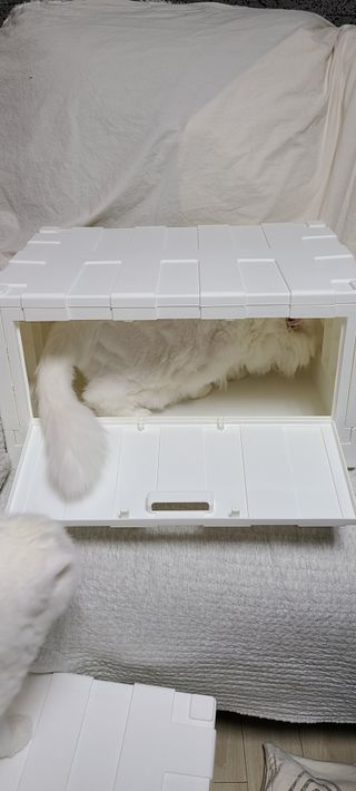 논지님이 올린 리뷰 사진 3