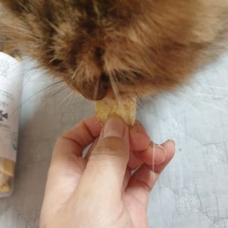 옹알이님이 올린 리뷰 사진 3