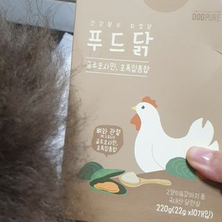 도그퓨어 푸드닭 강아지 닭고기 통살 애견간식 오리지널/차전자피/초록입홍합 — 5점을 준 리뷰어가 2021년 10월 올린 사용 사진