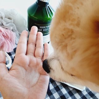 좋아님이 올린 리뷰 사진 3