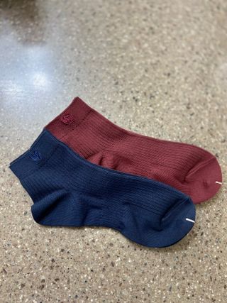 [사이즈가 있는 양말 필로이] 남/여 골지 발목 양말 4족 세트 남【S, M, L, XL】여【S, M, L】_컬러 랜덤 — 5점을 준 리뷰어가 2022년 6월 올린 사용 사진